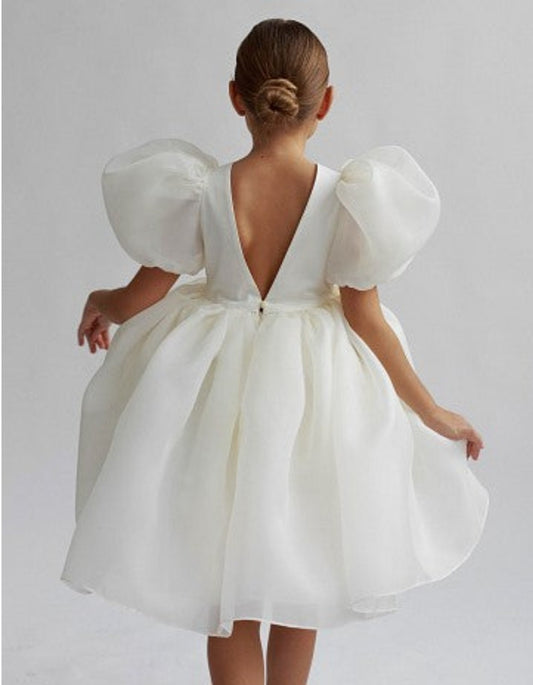 Ivory Dream