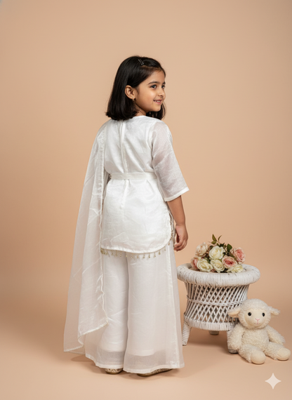 White Organza Floral Embroidered Sharara Set