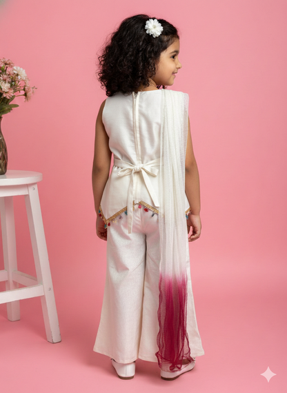 Zeenat Pearl Ethnic Co-ord set